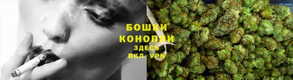 PSILOCYBIN Михайловск