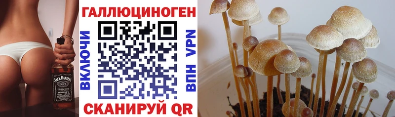 Псилоцибиновые грибы MAGIC MUSHROOMS  Среднеколымск 